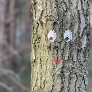 krumeltjesspoor_gab_10